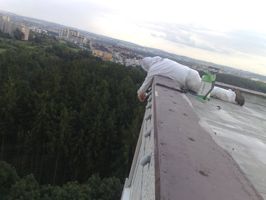 Likvidace hnízda sršňů